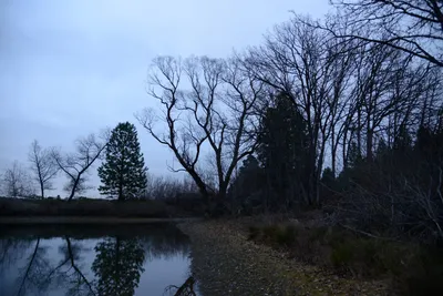 DSC_0973 (Large).JPG